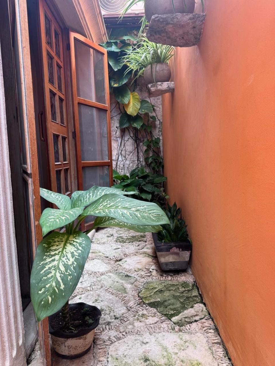 Hotel Casa Mallorca Cancún Exteriér fotografie
