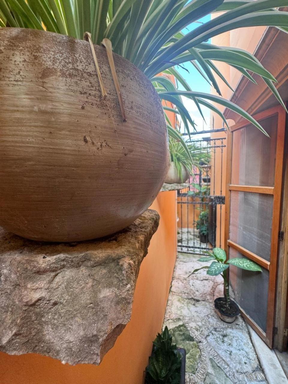 Hotel Casa Mallorca Cancún Exteriér fotografie
